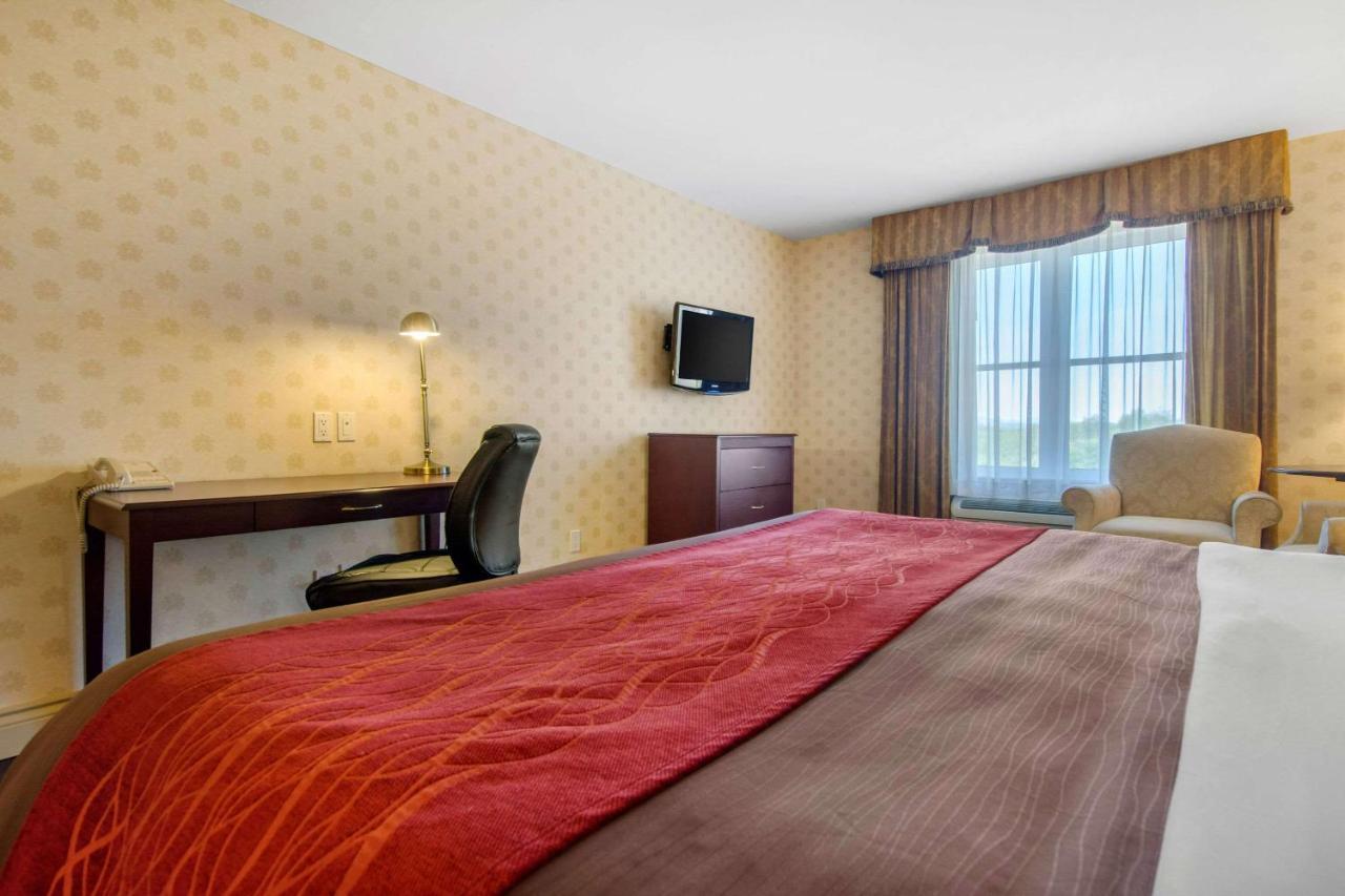 Comfort Inn & Suites Levis Exterior photo